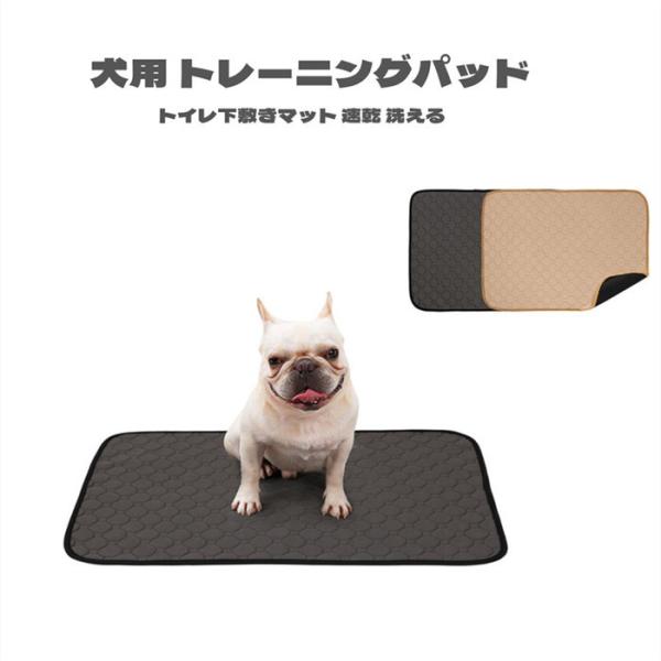 ペット用おしっこマット ペットマット トイレシート 洗える下敷き マット介護 小型 中型 犬・猫　防水 速乾 消臭 滑り止め トレーニングパッド 繰り返し利用可能