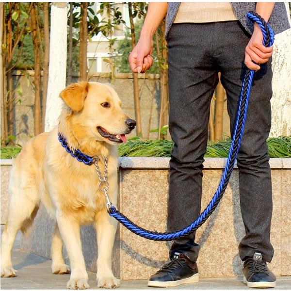 ペット リード 犬 小型犬 大型犬 首輪セット ロープ ペット 牽引ロープ お出かけ 散歩用 8色選べる