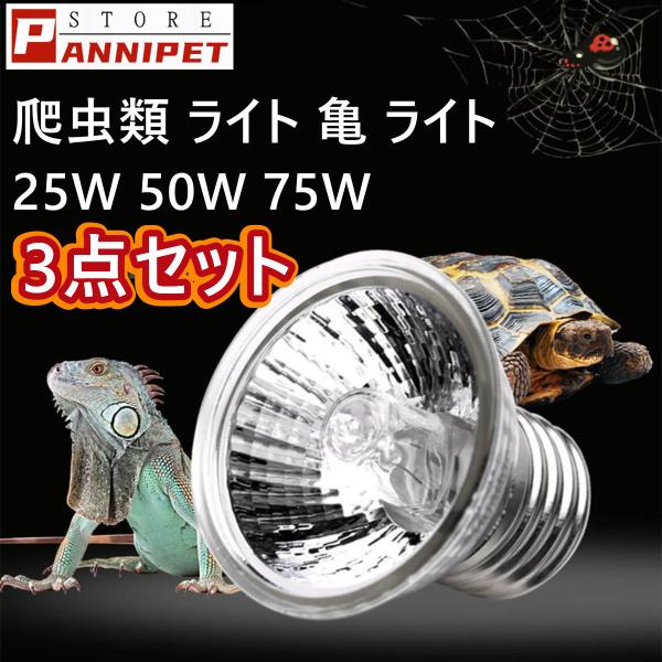 panni123_kamerpdq panni123_kamerpdq