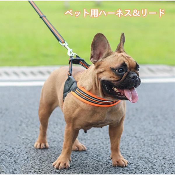 犬用 犬ハーネ 犬リード ハーネスリード リード付き ハーネスセット 胴輪 お散歩用 散歩グッズ リードセット ワンタッチ 着装簡単 おしゃれ 丈夫