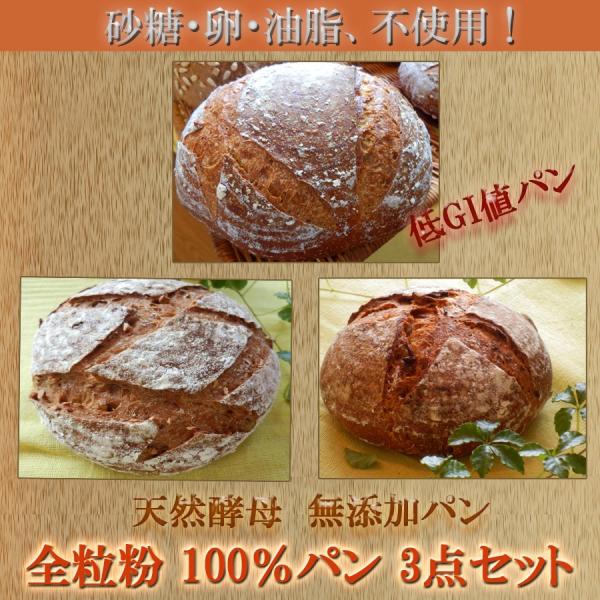 VRy S 100 p 3_Zbg@@Ⓚ֔zi