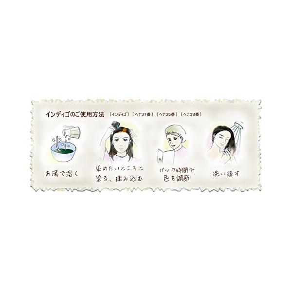 インディゴ 2回染め専用 ナンバンアイ葉100 パウダー Fakfakkab Go Id