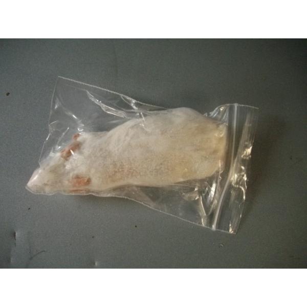 ■10匹単位から賜ります■爬虫類、猛禽類、両生類等の冷凍餌です■約10cmです■解凍におきましては、約40℃の、ぬるま湯約1リットルに食塩約40グラムを入れると　よりいっそう解凍時間の肉の品質維持、煮える等に効果があるようです■このサイズで...