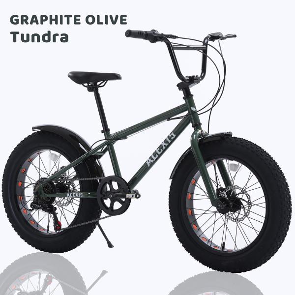 ACEXIS ファットバイク Fat City Cruiser BMX 自転車 シティ ビーチクルーザー フリースタイル 街乗り 20インチ サイドスタンド ディスクブレーキ