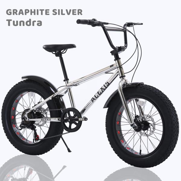 ACEXIS ファットバイク Fat City Cruiser BMX 自転車 シティ ビーチクルーザー フリースタイル 街乗り 20インチ サイドスタンド ディスクブレーキ