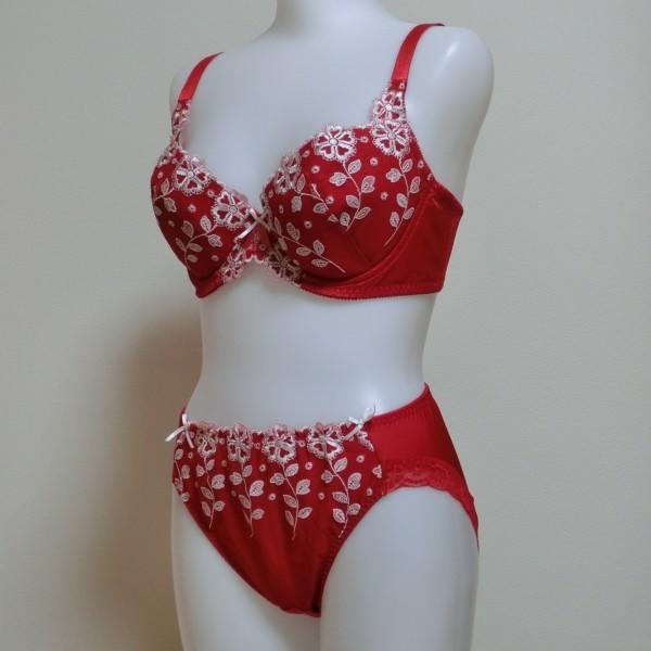 E90 E95 E100 F90 F95 F100 トリンプ ブラショーツセット ブラジャーショーツ Ll 3l 3l 4l 4l 5l Triumph 0572赤 Buyee Buyee 日本の通販商品 オークションの代理入札 代理購入