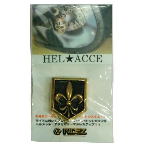 RIDEZ HELMET ACCESSORIES / wbgANZT[ TU-3554 GD