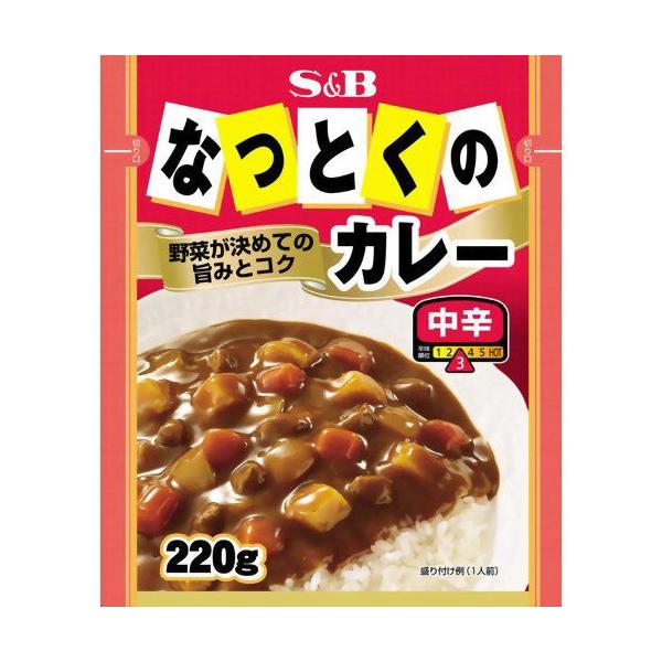 S B なっとくのカレー 中辛 2g Kc 016 インディアン 通販 Yahoo ショッピング