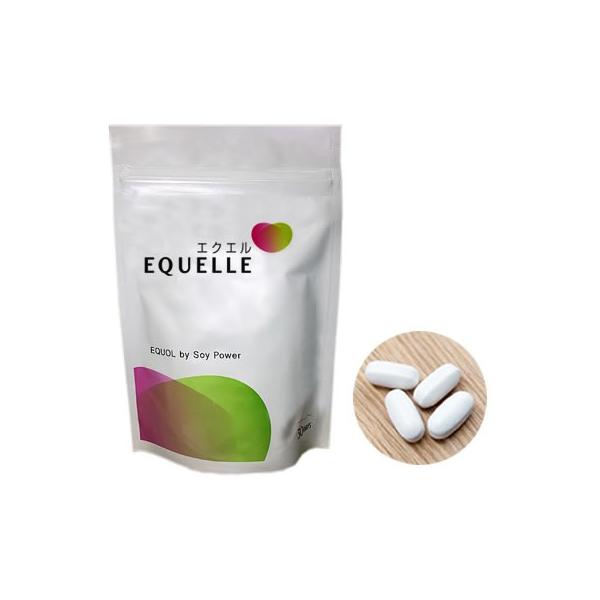 在庫処分 エクエル EQUELLE 120粒 パウチタイプ【3個セット