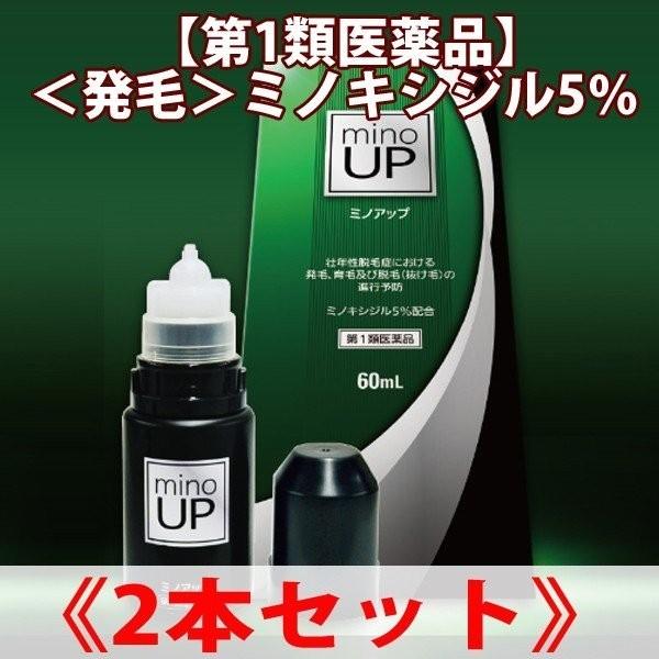 ミノアップ 60ml ミノキシジル5 ２本セット 第1類医薬品 薬剤師対応 発毛 育毛 脱毛 抜け毛 リアップx5 ミノグロウも販売中 発毛剤 ジェネリック s2b2 S2 000 インディアン 通販 Yahoo ショッピング