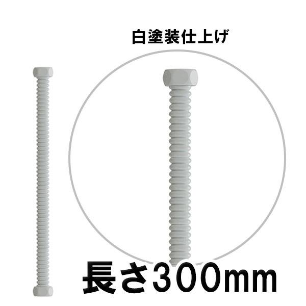  XeX tLpCv izCgj h 300mm ֌p z[X   z [֔