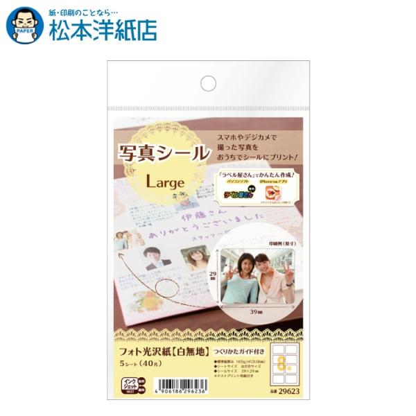 エーワン A-one 紙の専門店 松本洋紙店 写真シール Large 29623 印刷紙 印刷用紙