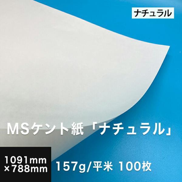 ケント紙 全紙 MSケント紙 ナチュラル 157g/平米 全紙サイズ 1091