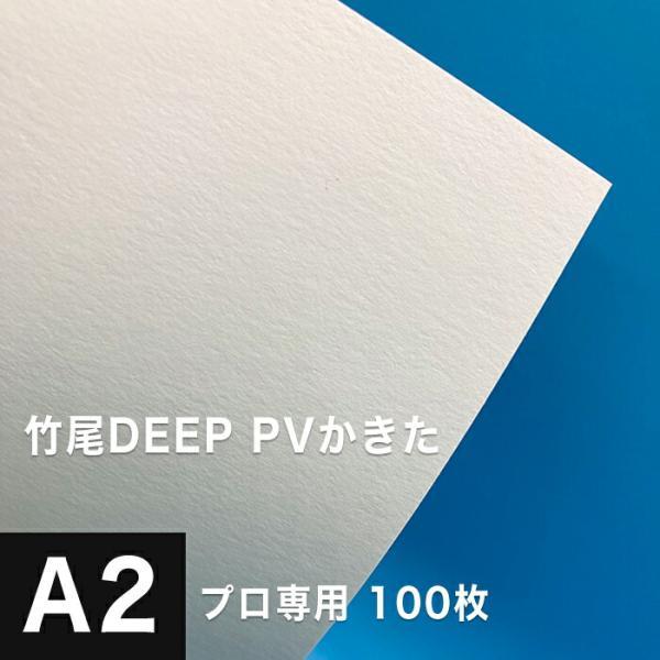 竹尾 DEEP PV かきた A2サイズ：100枚 紙 絵画紙 水彩紙 印刷紙 写真