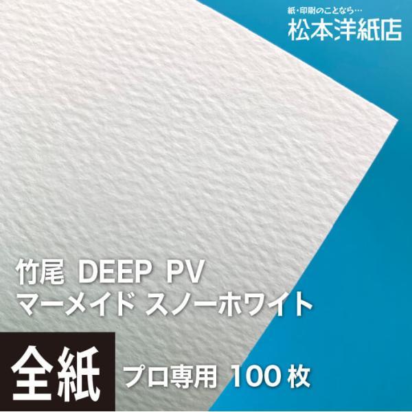 竹尾 DEEP PV マーメイド スノーホワイト 全紙サイズ 980×670mm：100枚