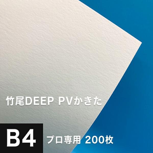 竹尾 DEEP PV かきた B4サイズ：200枚 紙 絵画紙 水彩紙 印刷紙 写真
