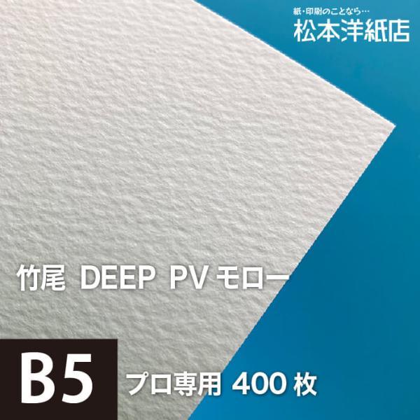 竹尾 DEEP PV モロー B5サイズ：400枚 紙 絵画紙 水彩紙 印刷紙 写真