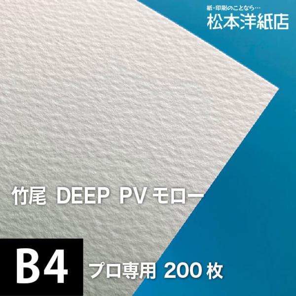 竹尾 DEEP PV モロー B4サイズ：200枚 紙 絵画紙 水彩紙 印刷紙 写真
