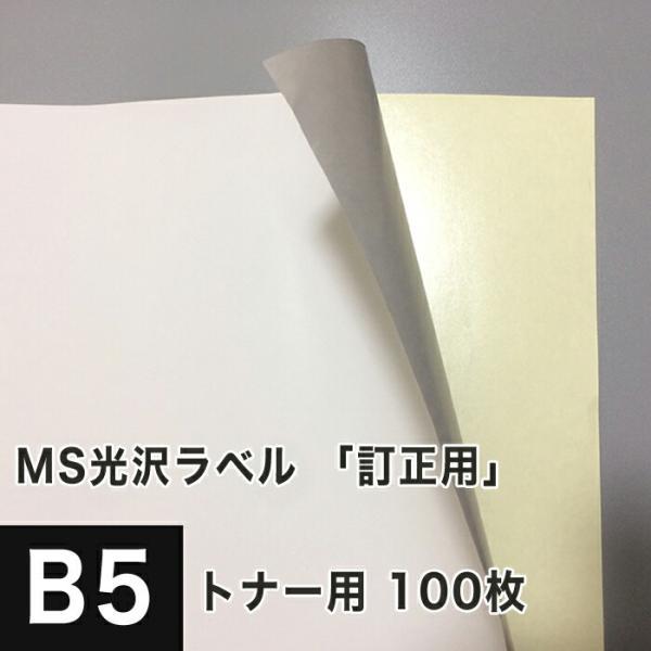 MS光沢ラベル 訂正用 B5サイズ：100枚 光沢紙 修正シール 訂正シール