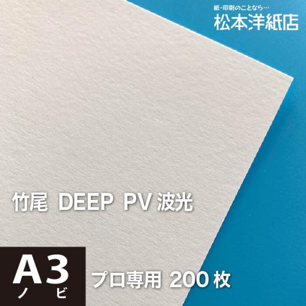 欠品中・11月納品予定】竹尾 DEEP PV 波光 A3ノビ 329×483：200枚 竹尾