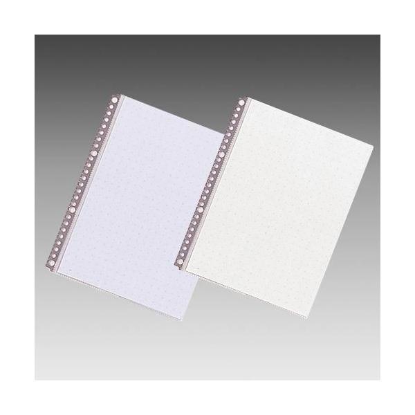 LIHIT qg@B5S |E[tH[XENA[|Pbg@N-2005@|XgzΉ