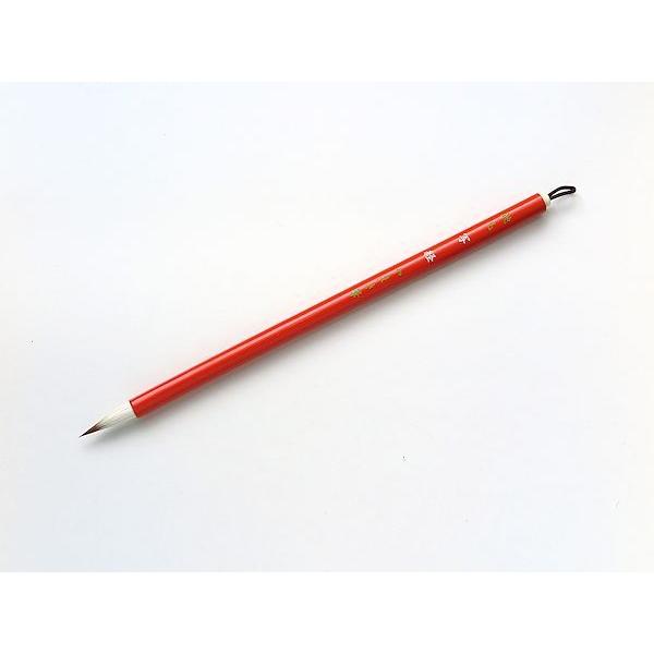 ܂M@M@M   ꌖ ʌo@1216@|XgzΉ