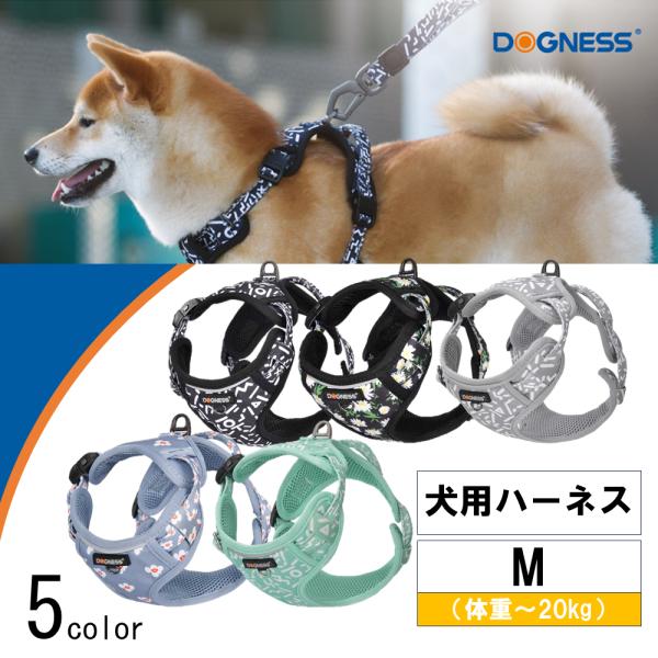 paphilus_dogness-elegant-h-m