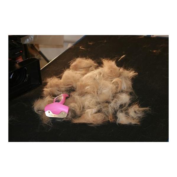 フーリー 犬猫ペット用抜け毛取りブラシ Sサイズ アウトレット品 新品 パッケージ割れ パッケージ無し 犬 猫 抜け毛対策 毛玉 Buyee Buyee Japanese Proxy Service Buy From Japan Bot Online