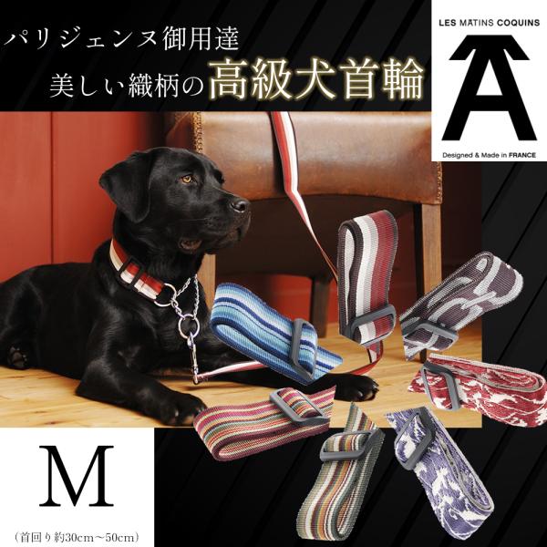 犬用首輪 レマタンコカン M 高級 フランス製 綺麗 かっこいい 中型犬