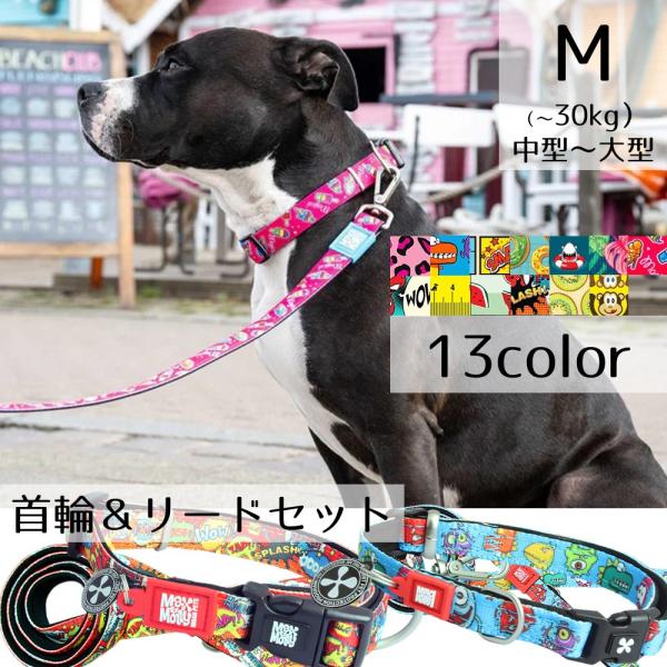 k.kママ様♡確認用　犬用首輪リードセット 犬用首輪 犬用リード 2点セット お散歩セット マックス