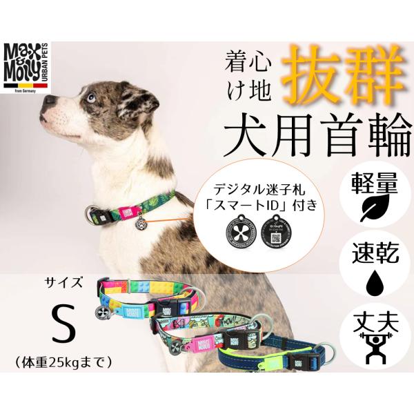首輪・ハーネス・迷子札 mozu.1020 zzy-cwbd-l-004t.jpg