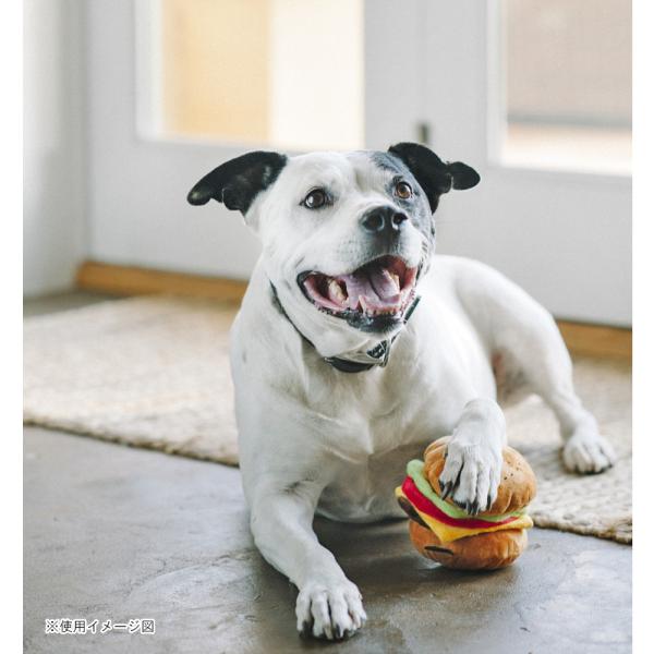 p vC AJNVbN no[K[  ߋ    lC  XgXU  f^