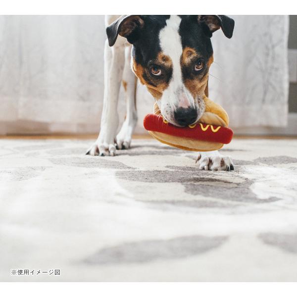 p vC AJNVbN zbghbO  ߋ    lC  XgXU  f^