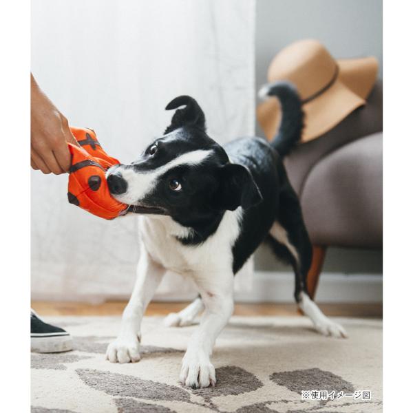 p vC O[ugb^[ X[cP[X  ߋ    lC  XgXU  f^