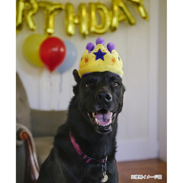 p vC p[eB[^C NE  ߋ    lC  XgXU  f^