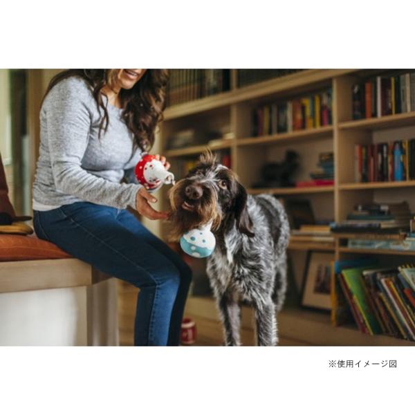 p vC obNgD[XN[ r[J[  ߋ    lC  XgXU  f^