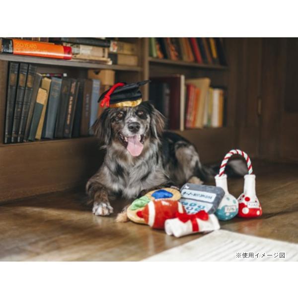 p vC obNgD[XN[ OfGCVnbg  ߋ    lC  XgXU