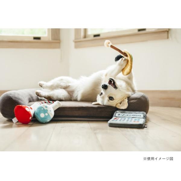 p vC obNgD[XN[ A[eBXgpbg  ߋ    lC  XgXU  f^