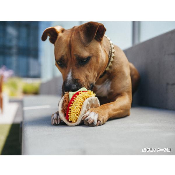 p vC C^[iViNVbN ^RX  ߋ    lC  XgXU  f^