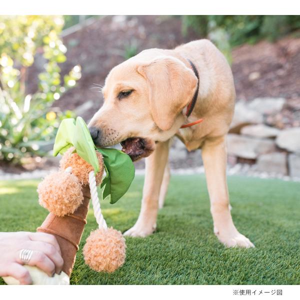 p vC gsJp_CX p[c[  ߋ    lC  XgXU  f^