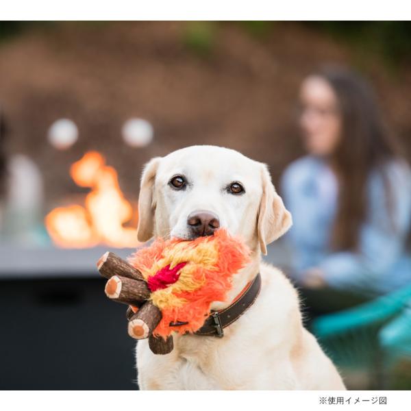 p vC LvR[r Lvt@C[  ߋ    lC  XgXU  f^