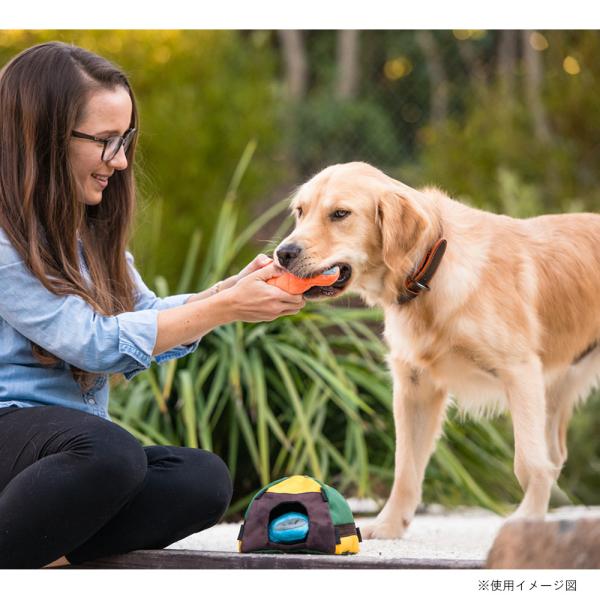 p vC LvR[r egVt  ߋ    lC  XgXU  f^