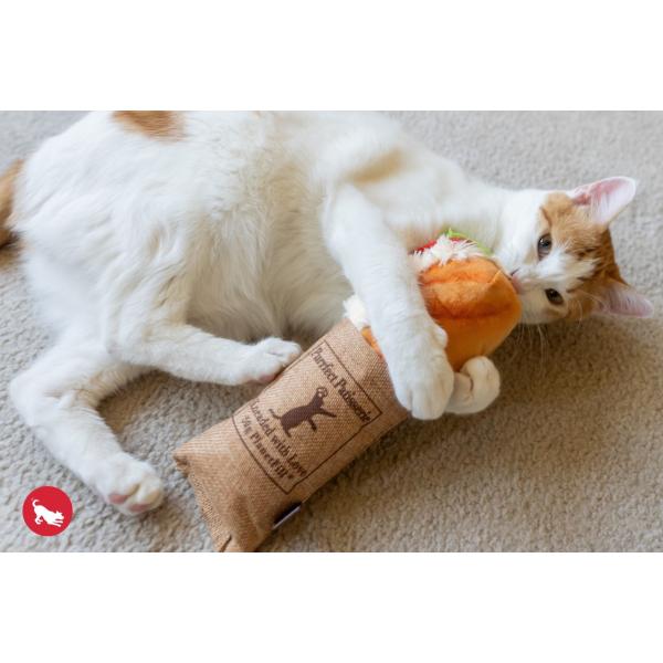 Lp 9848 vC tB[CtW[ cioQbg Lp Lbgjbv 