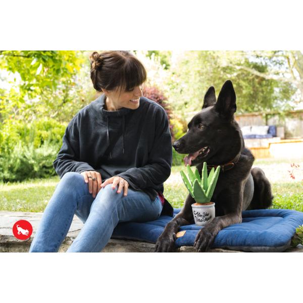 p vC u[~OofB[Y AGvg  ߋ    lC  XgXU  f^