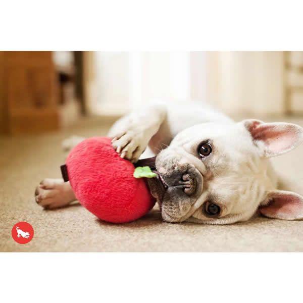 vC  K[ftbV Abv  ߋ    lC  XgXU  f^