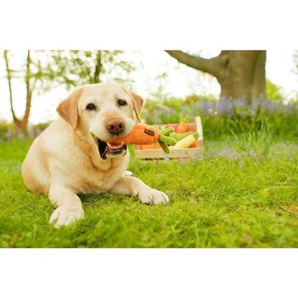 vC  K[ftbV Lbg  ߋ    lC  XgXU  f^