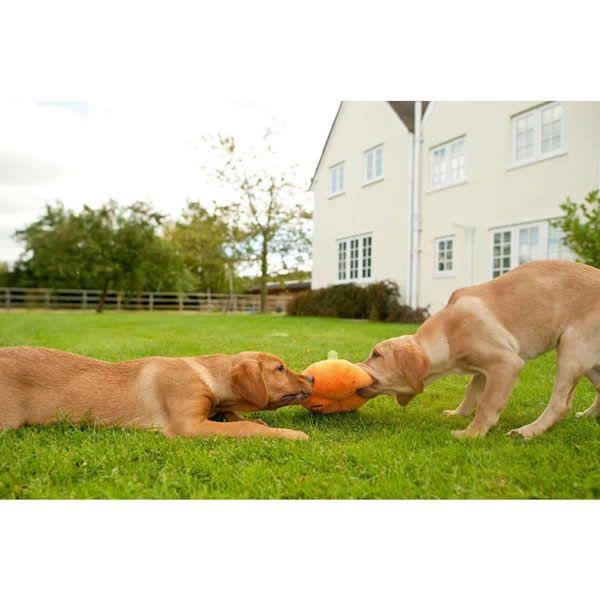 vC  K[ftbV pvL  ߋ    lC  XgXU  f^