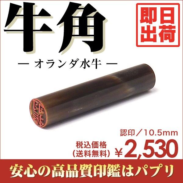  F s  ͂ 10.5mm  󑊑 Ă񏑑 È ѕM p I_ o