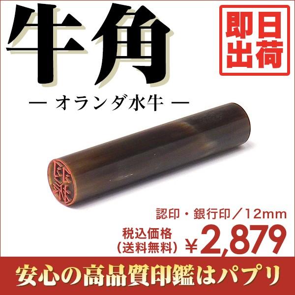  F s  ͂ 12mm  󑊑 Ă񏑑 È ѕM p I_ o