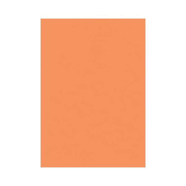 PAオレンジページ A4コピー用紙 北越コーポレーション NEWファインカラー A4